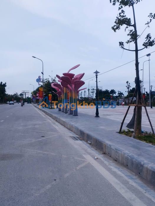 Đất Vàng Kinh Doanh Đông Anh 248m² - Mặt Tiền 9m Vuông Vắn, Giá Tốt