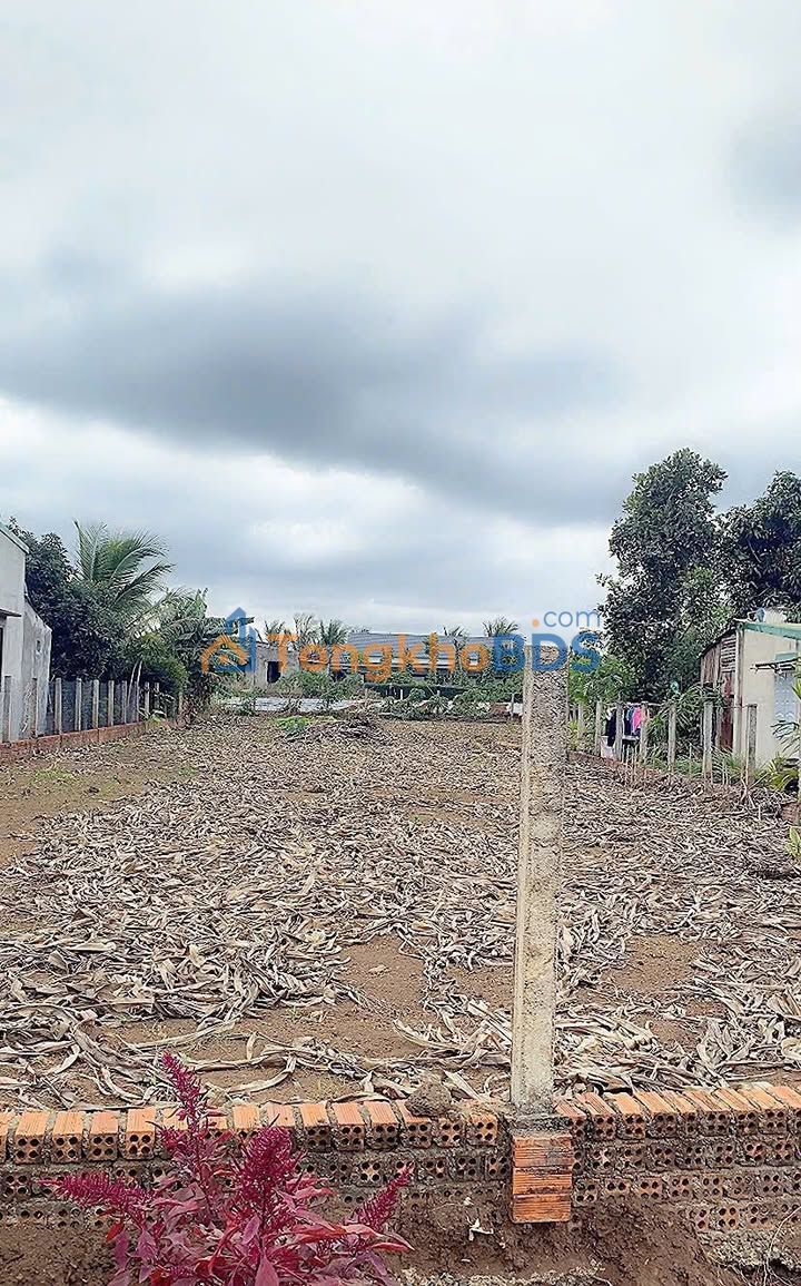 Đất nền Cư M'gar Đắk Lắk 756m² 1.8 tỷ Sổ đỏ chính chủ