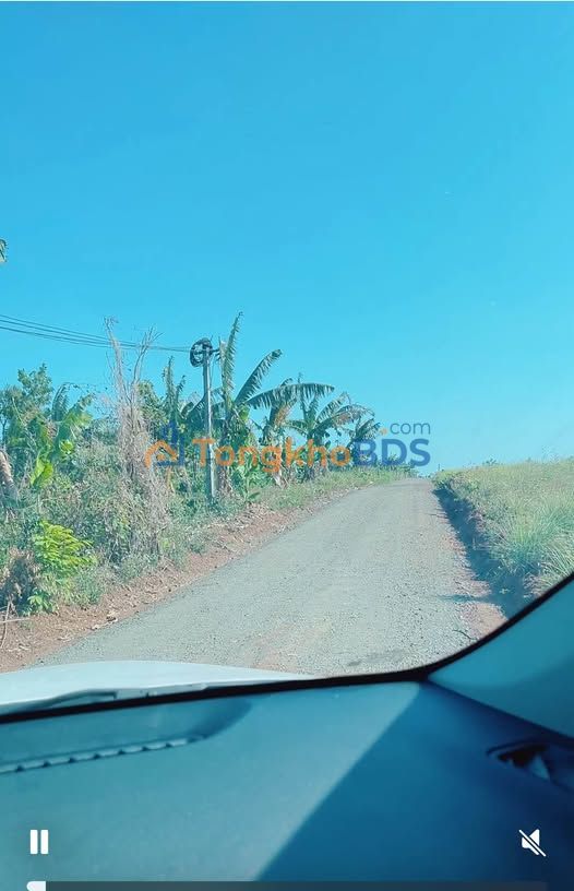 Đất nông nghiệp Buôn Ma Thuột 500m² 950tr - Đường ô tô