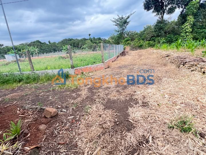 Đất nền Ea Tam Buôn Ma Thuột 500m² 270 triệu - Đường ô tô vào tới