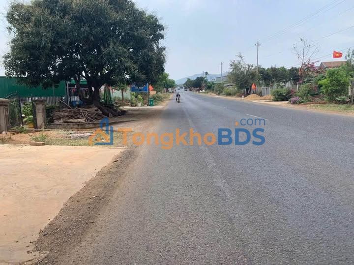 Đất QL14 Ea H'Leo 270m² 890tr - Tiềm năng tăng giá