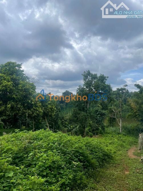 Đất nền Dã Tượng Buôn Ma Thuột 671m² 8.5 tỷ - Sổ đỏ chính chủ