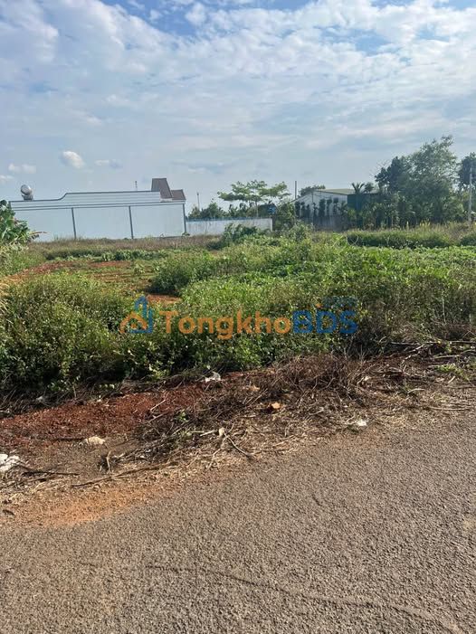 Đất nền Buôn Ma Thuột 120m² 800 triệu - Sổ đỏ chính chủ