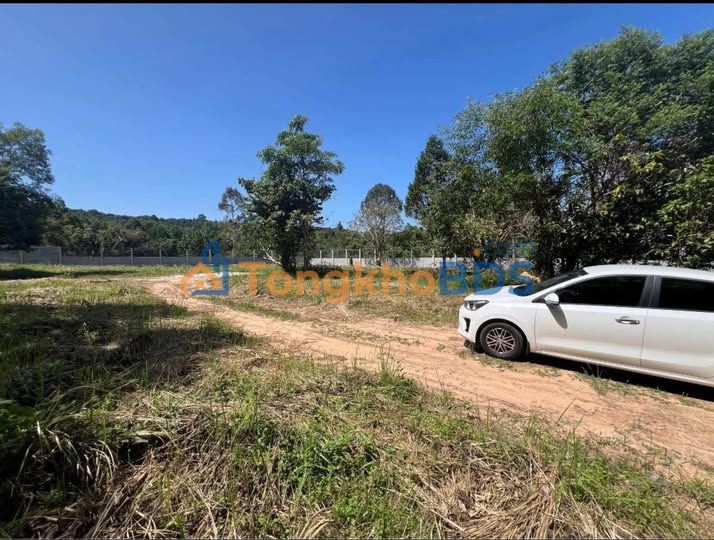 Đất Vườn Phú Quốc 2000m² - Sổ Riêng, Giá Tốt, Sẵn Thổ Cư