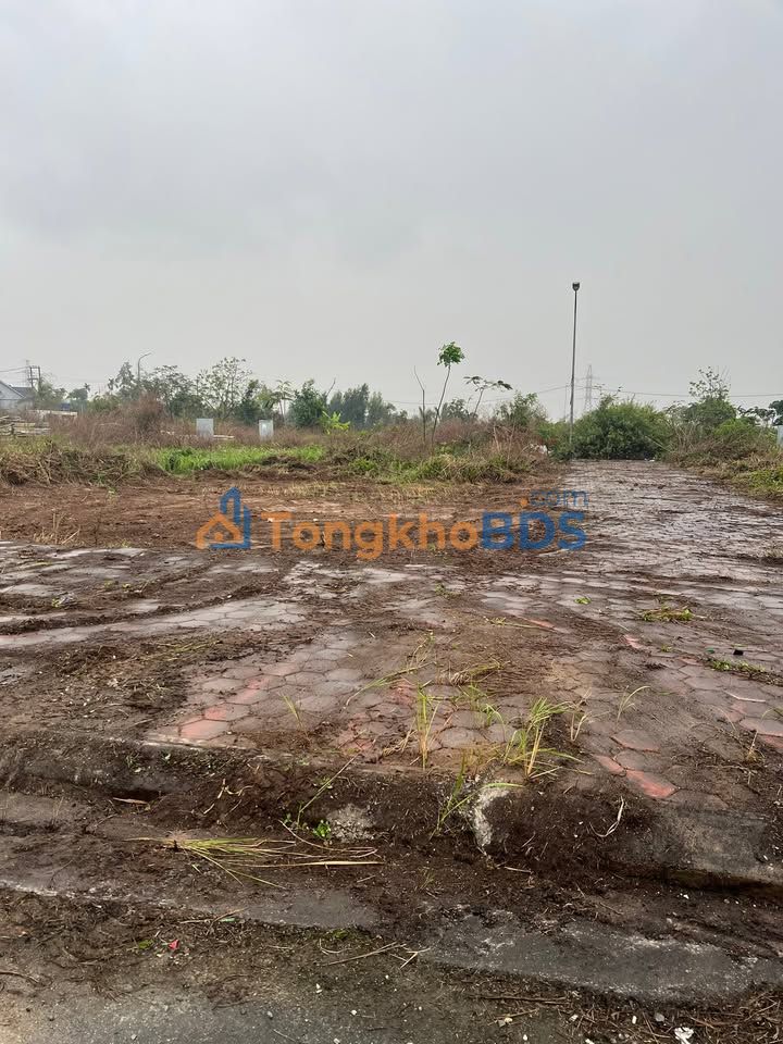 Đất nền Tràng Cát 51m² 3,481 tỷ - Sổ đỏ chính chủ