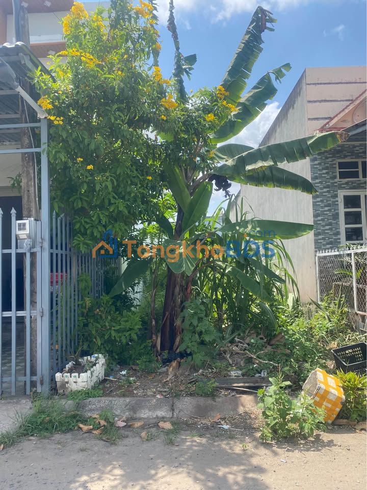 Đất nền Bạc Liêu ĐS15 80m² 880tr - Sổ hồng chính chủ