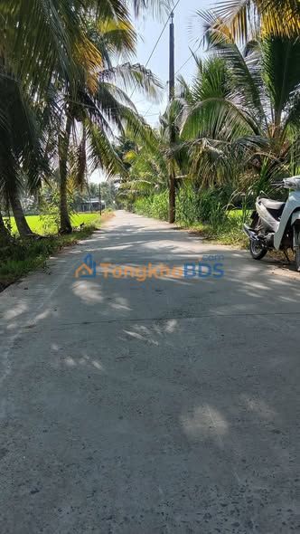 Đất Mặt Tiền Lộ Đan 540m² – Cầu Kè, Trà Vinh – Giá Đầu Tư 2.8 Tỷ