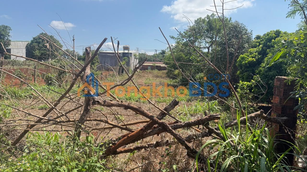 Đất QL14 Ia Tul 312m2 1.13 tỷ - Đường to ô tô