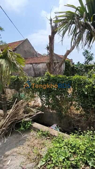 Đất Nam Điền Nghĩa Hưng 100m² 830 triệu - Thổ cư 100%