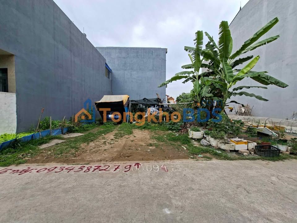 Đất Quỳnh Hoàng Nam Sơn An Dương 61,2m² 2 tỷ - Sổ đỏ chính chủ