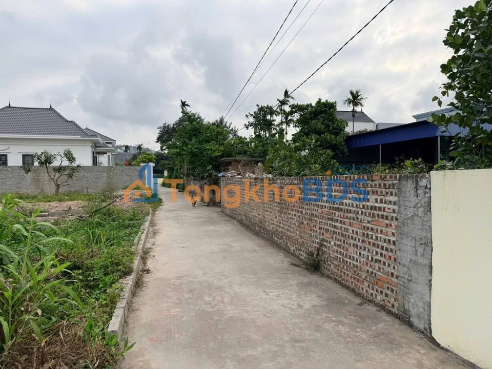 Đất nền Cát Hải 50m² - Sổ đỏ sẵn sàng, chỉ 780 triệu