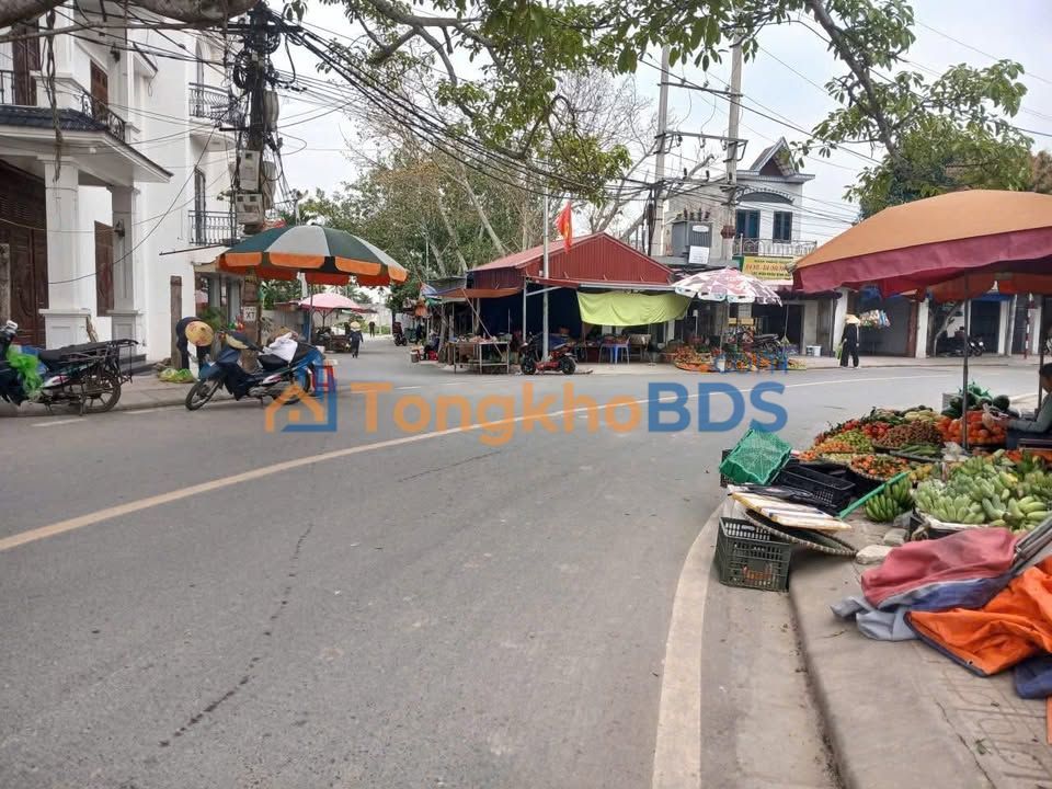 Đất nền An Thái Hải Phòng 65m² giá thỏa thuận - Đường ô tô