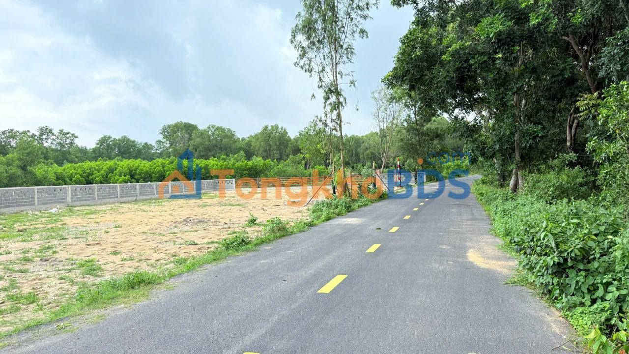 Đất nền Phước Hải 242m² 2 tỷ - Sổ đỏ chính chủ