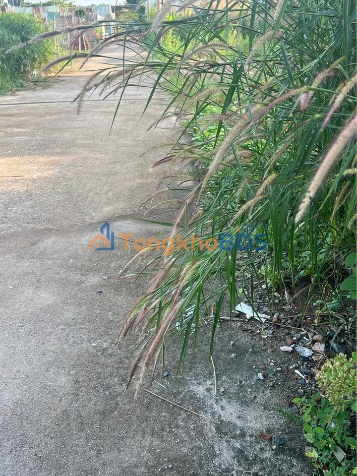 Đất nền Hẻm 30/4 Vũng Tàu 67m² - Sổ đỏ chính chủ