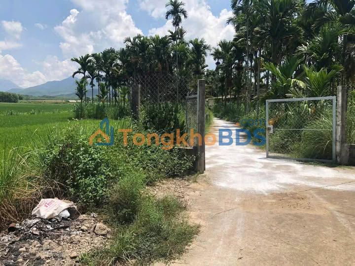 Đất Nền 600m² Xã Nghĩa Điền, Quảng Ngãi - Giá Đầu Tư Hấp Dẫn