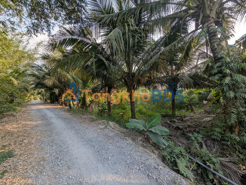 Đất nền Phú Mỹ Tân Phước 139,7m² - Sổ hồng sẵn