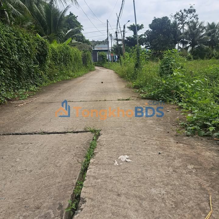 Nhà sân vườn N5 Chợ Gạo 140m² 1.35 tỷ - Sẵn sàng ở ngay