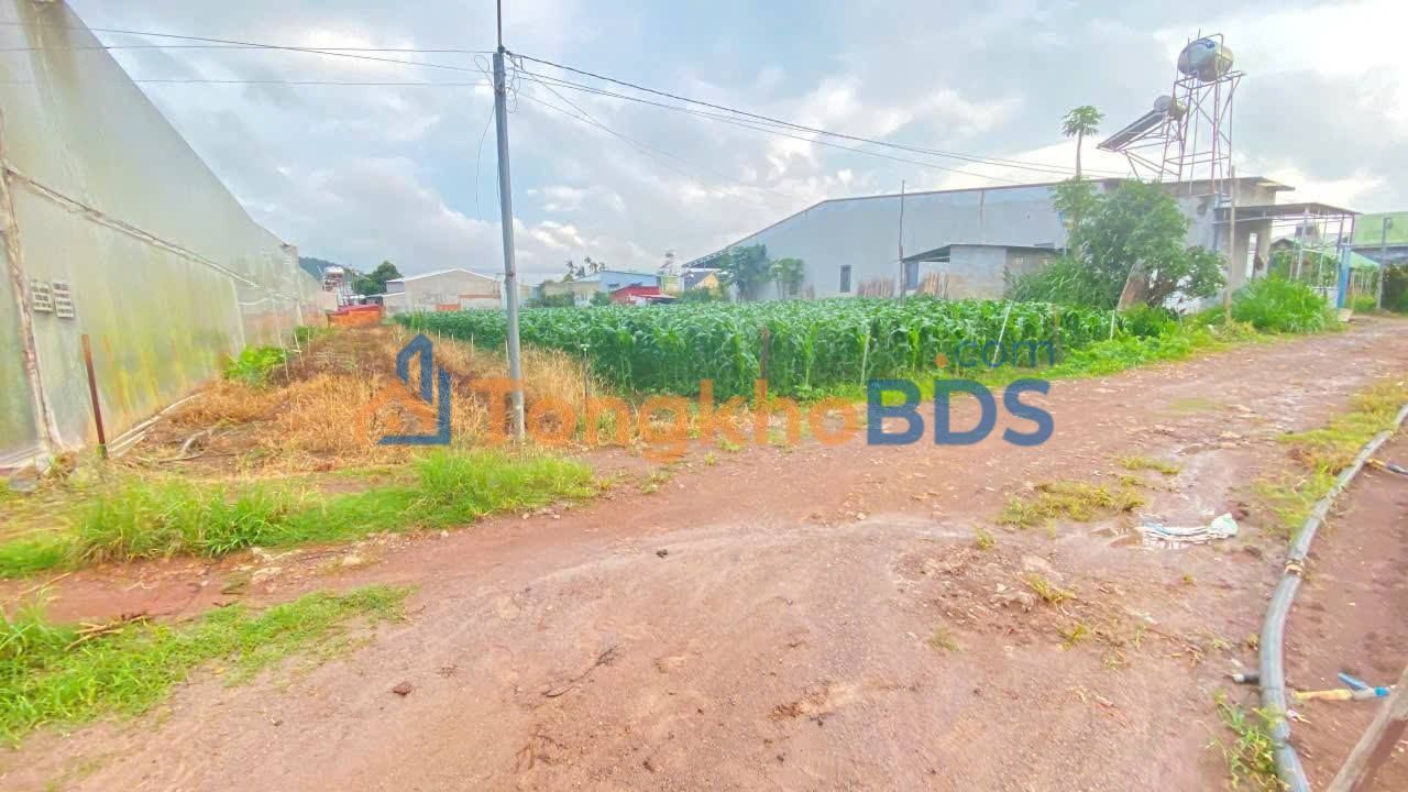 Đất nền Hiệp Thạnh Đức Trọng 310m² 1,4 tỷ - Xây dựng tự do