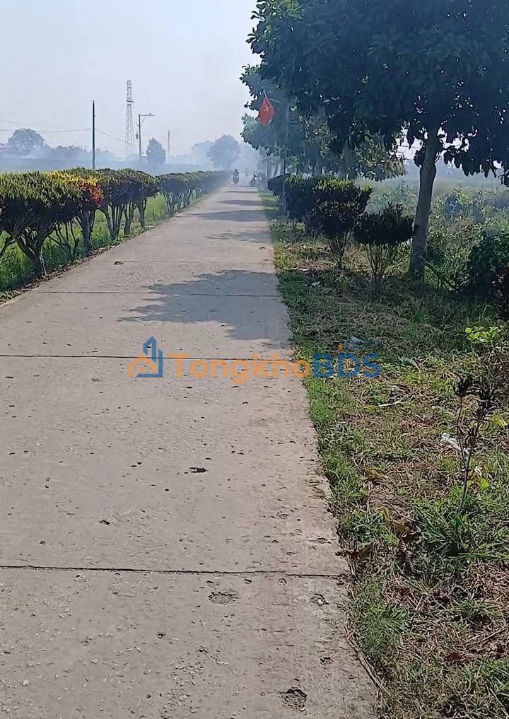 Đất Vườn Sóc Trăng 2000m² Mặt Tiền Lộ 26m - Giá Đầu Tư 8.4 Tỷ