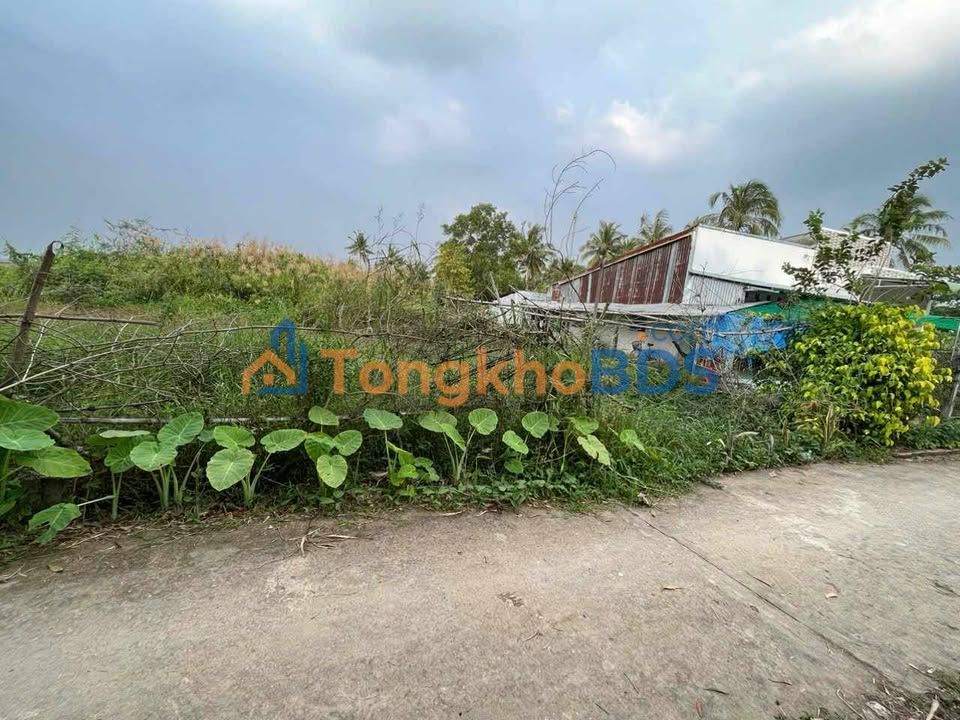 Đất nền Trần Đề Sóc Trăng 80m² 300 triệu - Giá tốt hiếm có