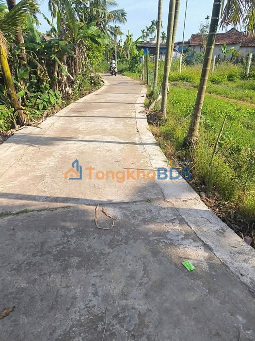 Đất nền Nghĩa Thương, Tư Nghĩa - 120m² đường ô tô, giá 295 triệu