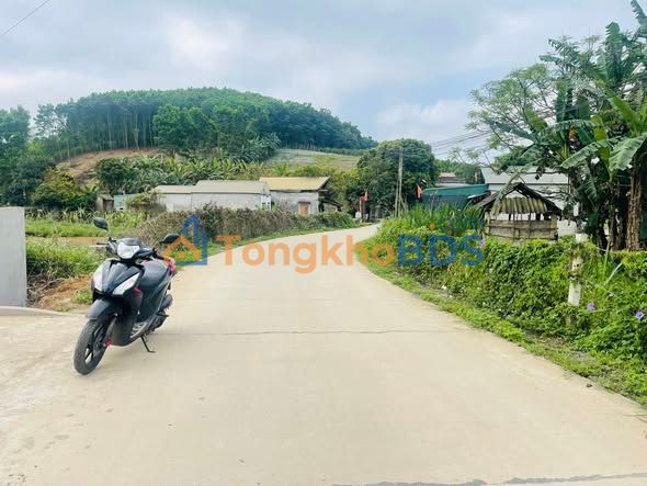 Đất nền Cao Phong Hòa Bình 2400m² - Đường to ô tô