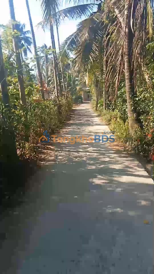 Đất nền Cầu Kè Trà Vinh 113m² 150tr - Thổ cư 100%