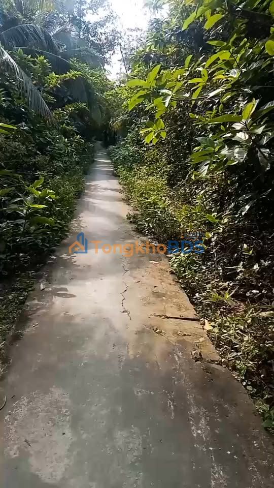 Đất nền Ấp Chông Nô 1 Trà Vinh 450m² - Đường ôtô