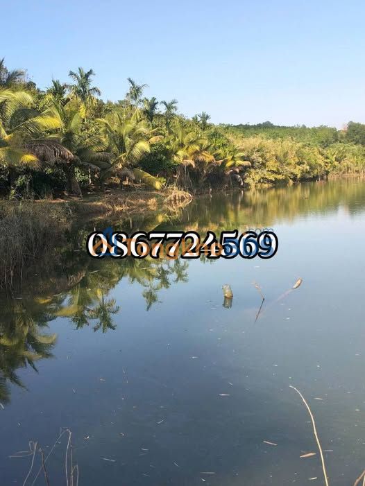 Đất vườn Nghĩa Thành 2.4ha giá 6 tỷ - Nghỉ dưỡng lý tưởng