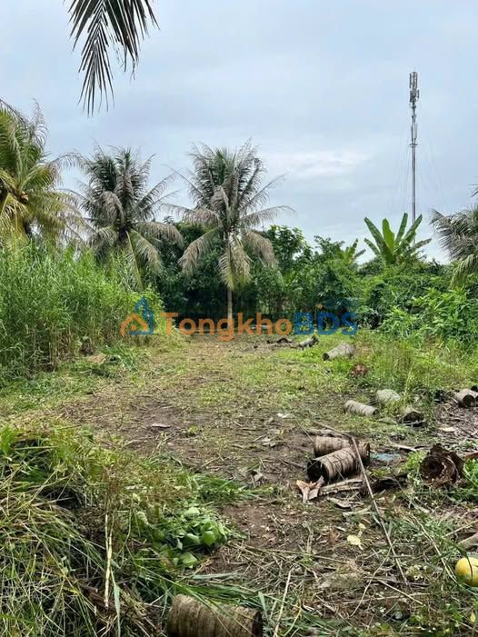 Bán Đất Hẻm Hoa Lâm, Phú Tân, Bến Tre - 125m² Giá 600 Triệu