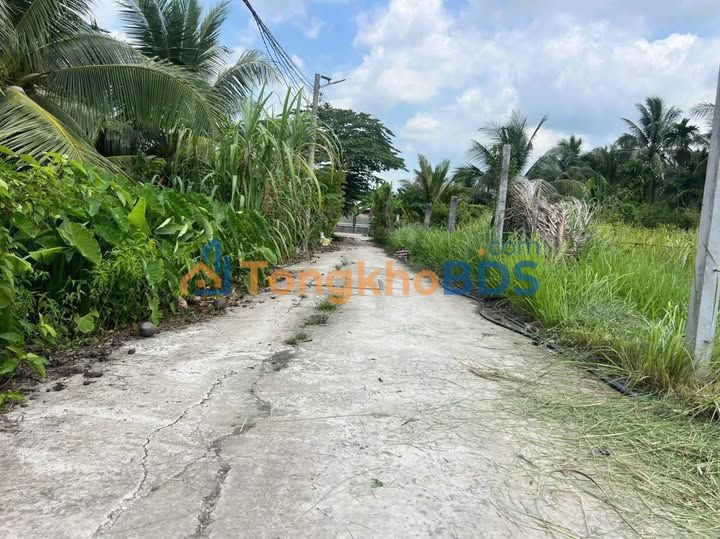 Đất ở 115m² Xuân Phương, Bến Tre - Giá 795 triệu, Hẻm Xe Hơi