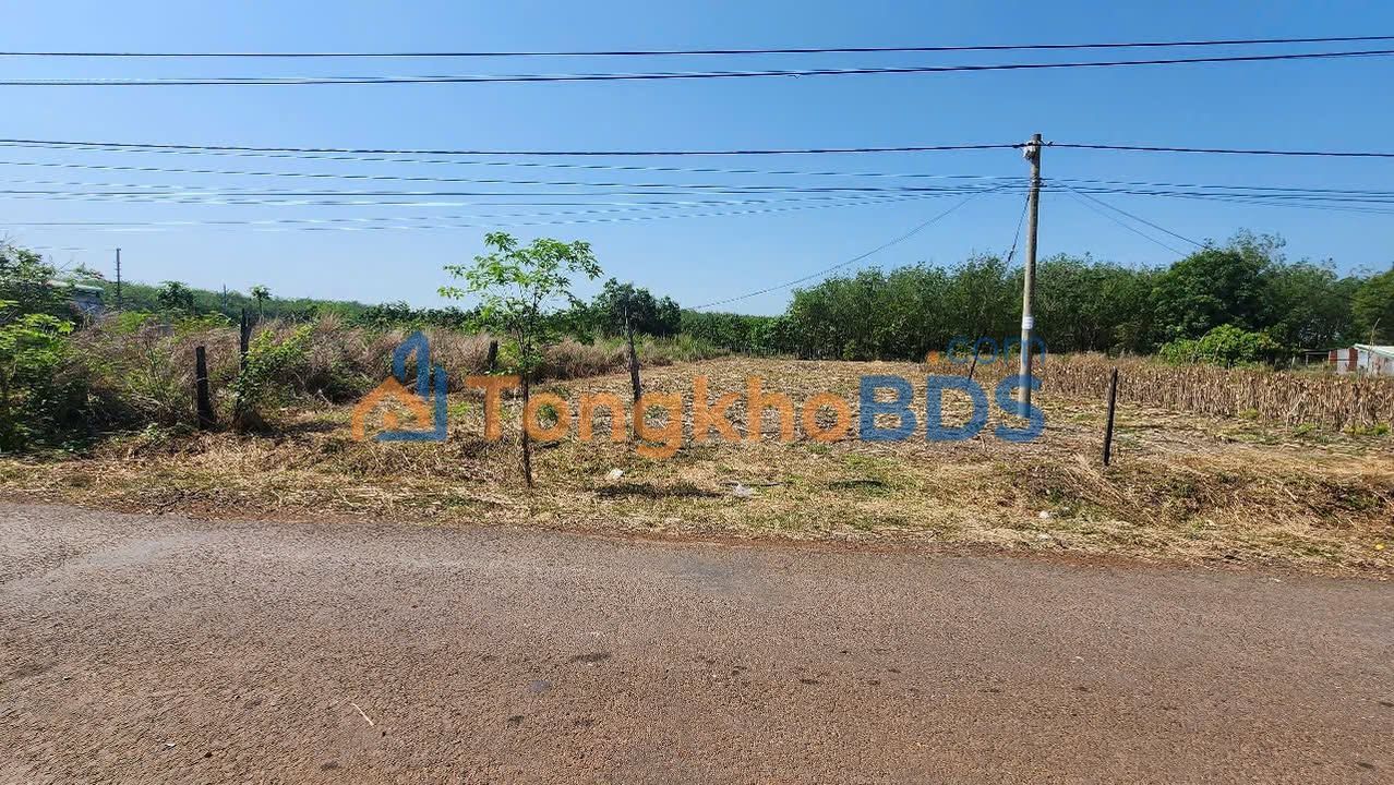 Bán Đất Nền 2.1 Sào Mặt Tiền 17m Nhựa - 480 Triệu/Sào Tại Dầu Tiếng, Bình Dương