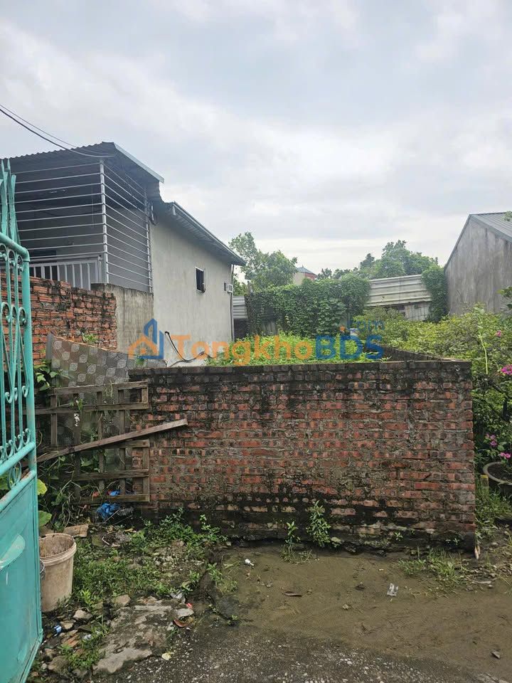 Đất nền Đại Áng Thanh Trì 33m² giá 3 tỷ - Sổ đỏ chính chủ