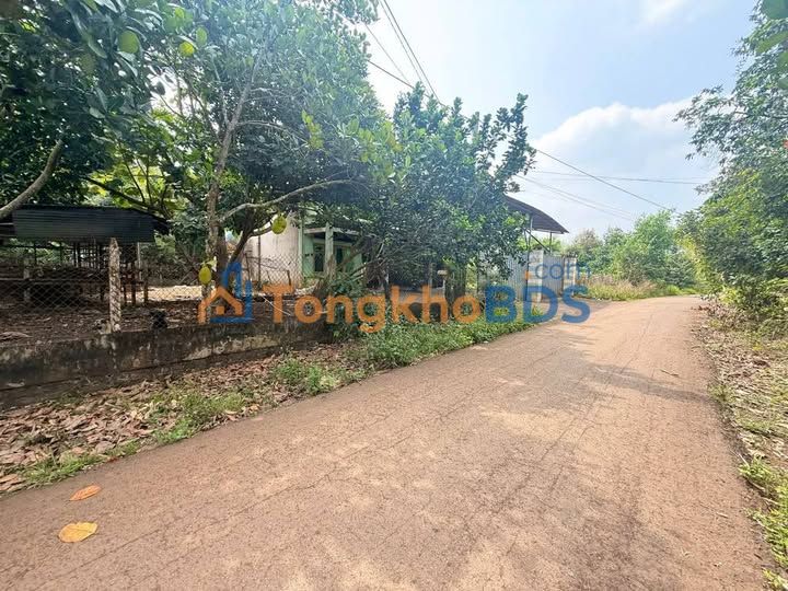 Đất Nền Thổ Cư Full Sổ Riêng - Bình Lộc, Long Khánh, Đồng Nai