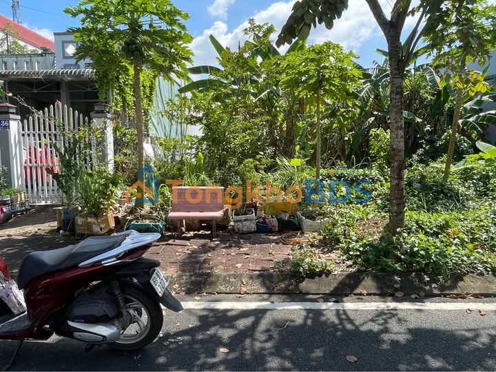 Đất nền 270m² mặt tiền Nam Cao, Cà Mau - Sổ hồng sẵn sàng, giá 3.7 tỷ