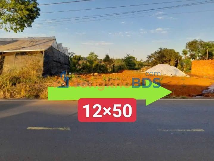 Đất nền Đường Tránh Nguyễn Văn Cừ 600m² giá 1 tỷ - Sổ đỏ chính chủ