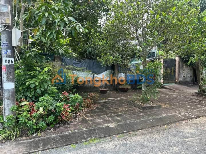 Đất nền Đường Số 12, KDC Tân Xuyên, Cà Mau - 90m² Giá 820 Triệu