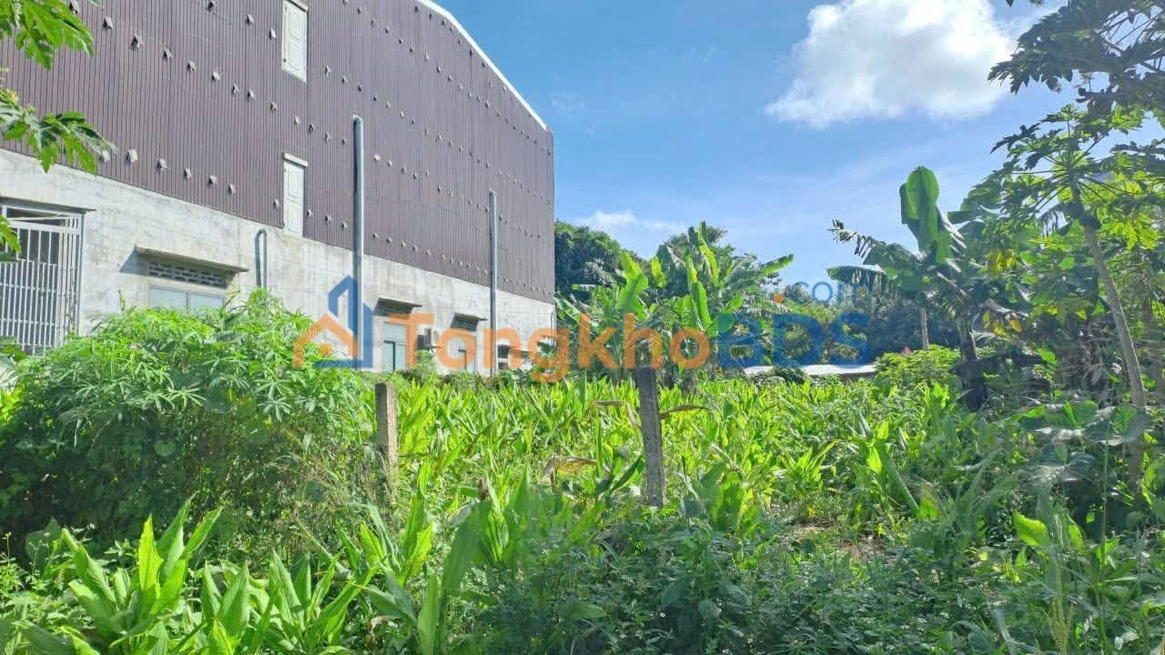 Đất nền Ea Kar 270m² 1 tỷ - Sổ hồng sẵn