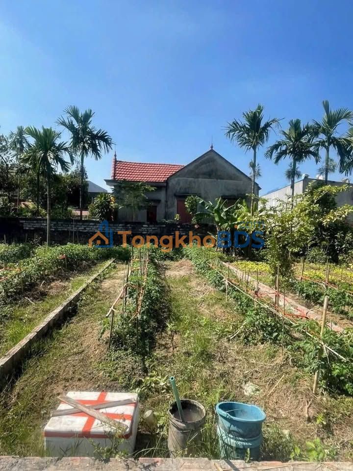 Đất nền Thủy Triều, Hải Phòng 64m² 1.2 tỷ - Đường ô tô