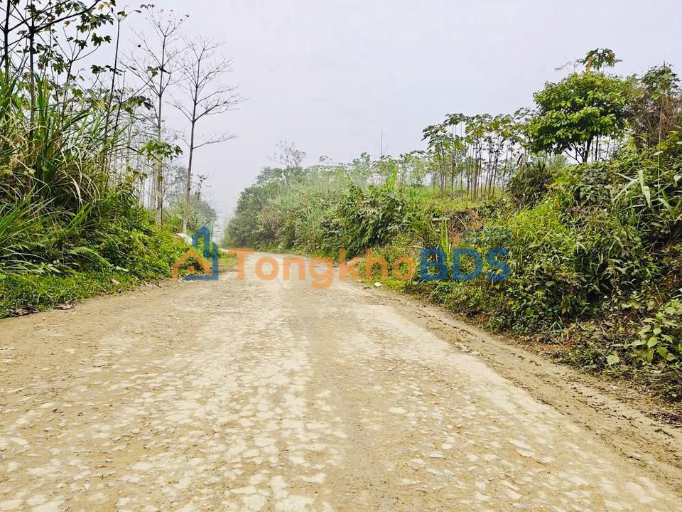 Đất nền Tân Sơn, Phú Thọ 5000m² - Sổ đỏ 400m² thổ cư, giá chỉ 400 triệu