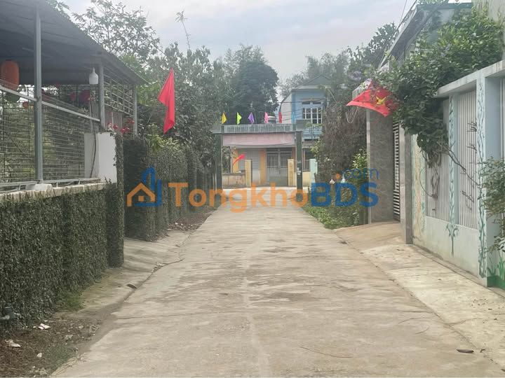 Bán đất 110m² tại Điện Biên - Gần THPT Thanh Chăn, đường bê tông 5m