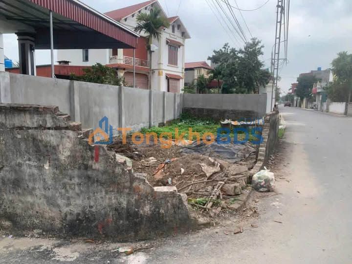 Đất nền Tân Hưng Hưng Yên 44m² dưới 2 tỷ - Sổ đỏ chính chủ