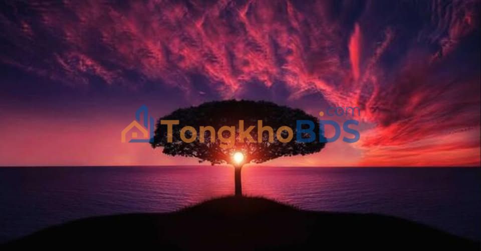 Bán đất Tổ 06, P. Tân Thanh, TP. Điện Biên Phủ - 167m², Sổ đỏ chính chủ