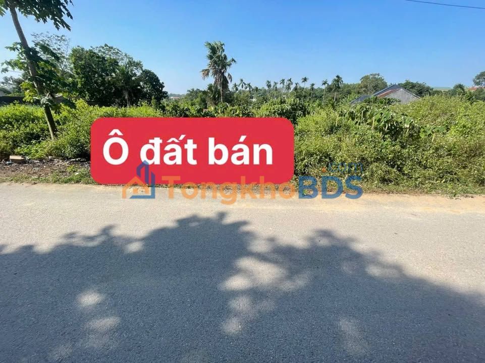 Đất Vĩnh Phúc 183m² - Sát KCN Tam Dương, Đường Nhựa Sạch Đẹp