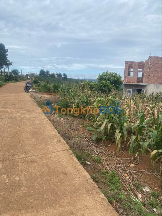 Đất thổ cư Tân Lâm Di Linh 240m² 530tr - Sổ đỏ chính chủ