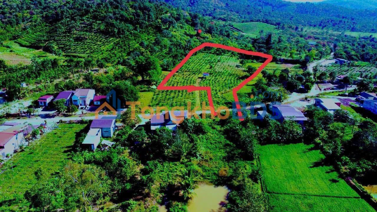 Đất Nông Nghiệp Xã Dray Sáp, Đắk Lắk - 230 Triệu/Sào, Sẵn Sàng Khai Thác