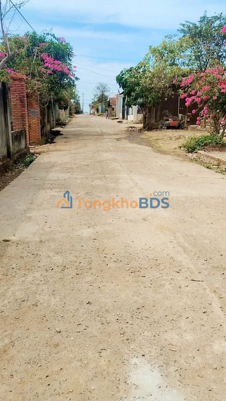 Đất nền Buôn MLot ENa 220m2 13.2 tỷ - Đường ô tô