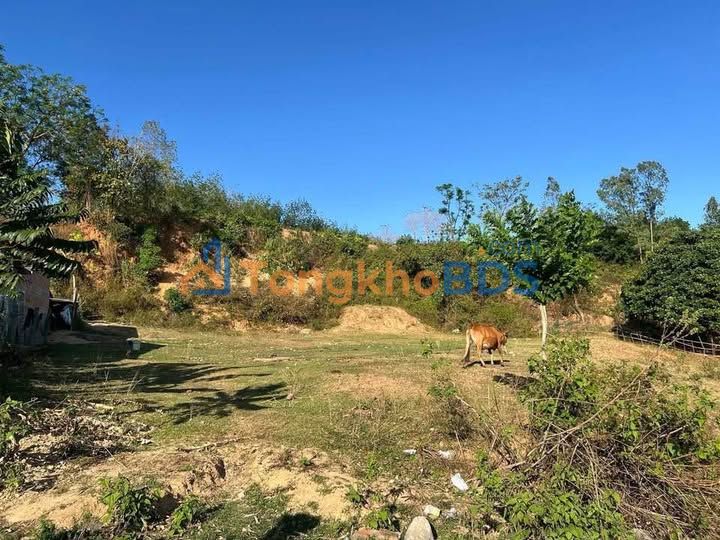Land Đắk Blà Kon Tum 225m² 200 triệu - Sổ đỏ chính chủ