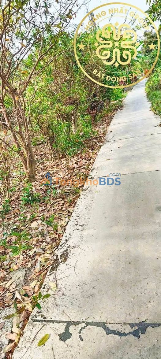 Bán Đất Vườn Rộng 10.000m² Tại Cà Mau - Thích Hợp Nuôi Tôm & Sản Xuất