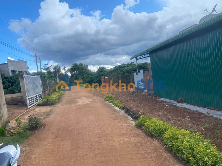 Đất nền Di Linh 250m² 450 triệu - Sổ đỏ chính chủ